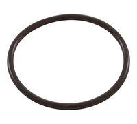 Lot de 2 joints toriques de liaison pour vannes de piscine multivoies - SX200Z4PAK2 - Hayward