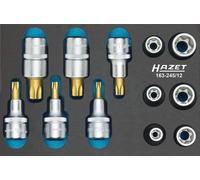 HAZET 163-245/12 mechanics tool set