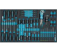 HAZET Jeu de tournevis 163-480/57N, 57 pièces, PH00-PH3, T5-T40, à fente, à empreinte cruciforme, à six pans intérieurs, à profil TORX intérieur, y compris jeu de tournevis d'angle et contrôleur de phase'.