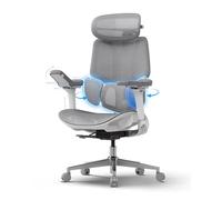 Hbada Chaise de bureau ergonomique E3 Pro • Support lombaire à 3 zones | Appuie-tête 4D • Accoudoirs 6D • Hauteur réglable • Idéal pour le bureau à domicile et les jeux