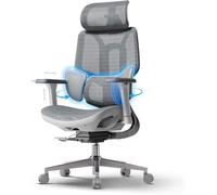 Hbada E3 Air Chaise de Bureau Ergonomique Fauteuil de Bureau - Soutien Lombaire Dynamique 3 Zones (Gris sans Repose-Pieds)