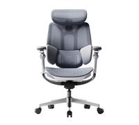 Hbada E3 Pro Édition 2026 Chaise de Bureau Ergonomique Support Lombaire Dynamique 3 Zones Accoudoirs 720°(Gris sans Repose-Pieds)