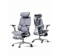 Hbada E3 Pro Édition 2026 Chaise de Bureau Ergonomique Support Lombaire Dynamique 3 Zones Accoudoirs 720°(Gris avec Repose-Pieds)