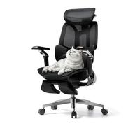 Hbada E3 Pro Édition 2026 Fauteuil de Bureau Ergonomique, Support Lombaire Dynamique 3 Zones, Accoudoirs 720°, Certifié IGR/BIFMA, Idéal Mal de Dos & Télétravail (Noir, avec Repose-Pieds)