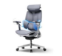 Hbada E3 Pro Édition 2026 Fauteuil de Bureau Ergonomique, Support Lombaire Dynamique 3 Zones, Accoudoirs 720°, Certifié IGR/BIFMA, Idéal Mal de Dos & Télétravail (Gris, sans Repose-Pieds)