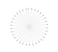 Healeved 100pcs Épingles à Tête en Acier Inoxydable pour Épingler Spécimens D'insectes, pour Collection et Enseignement Scientifique