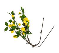 Healifty 2pièces Bouquet De Citrons Décoratifs Branche De Citronnier Artificielle Citron pour Décoration De Vase Branche De Citronnier Plante De Ferme