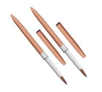 Healvian 2pièces Pinceaux à Pointe Fine pour Nail Art Stylos avec Tige Métallique Kit Outils pour Motifs Complexes Usage Maison et Professionnel