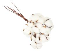 HEANUJJ Bouquet de Coton Séché Blanc pour Décoration de Maison et Fêtes, 10 Tiges en Coton Naturel pour Ambiance Joyeuse et Festive, Accessoire pour Noël