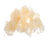 HEANUJJ Confettis de Pétales d'Hortensia Séchés pour Compositions et Décorations de Mariage, Lot de 3 X 10G pour Événements et Centres de Table