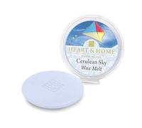 Heart and Home Galet pour brûle parfum cire de soja Gardénia, iris et camomille, 27 gramme, 2 bougies