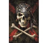 Heart Rock Drapeau Original Anne Stokes Pirate Skull, Tissu, Multicolore, 110 x 75 x 0,1 cm