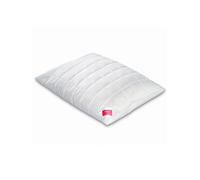 HEFEL Oreiller Wellness Zirbe 40x60cm blanc