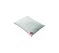 HEFEL Oreiller Wool 40x60cm (champagne) beige