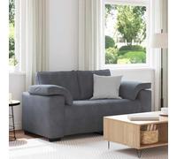 HEFZGDB Canapé 2 places moderne gris foncé 160 x 77 x 82 cm avec housse en velours, fauteuil confortable en velours pour salon pour se détendre et lire avec coussin d'assise rembourré, canapé relax