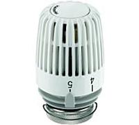 Heimeier K Tête thermostatique Modèle pour bâtiments publics, 6120-22.500,