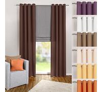 heimtexland Typ117 Rideau à œillets en Microfibre Opaque et translucide Marron foncé 245 x 140 cm