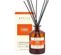 Helan Ambra e Incenso - Parfum d'ambiance, Parfum d'ambiance avec bâtonnets diffuseurs Oriental et Cipriato, Idées Cadeaux désodorisants et parfums d'ambiance 500 ML, Parfums Made in Italy