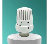 Helilyco Tête de thermostat de radiateur M30 x 15 réglable avec 5 réglages de température avec fonction de protection contre le gel Blanc