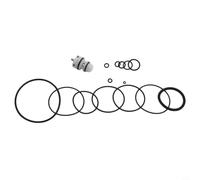 Helilyco Vanne de déclenchement de rechange TVA6 et kit de reconstruction de bague torique F28WW F21PL F33PT