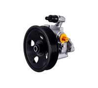 HELLA 8TL 359 003-091 Pompe hydraulique, direction - 100bar - hydraulique | Compatible avec: MERCEDES-BENZ M-CLASS