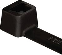 HellermannTyton 111-05460 T80L-W-BK-C1 Serre-câble 390 mm 4.70 mm noir résistant aux intempéries 100 pc(s)