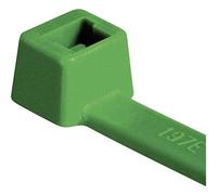 HellermannTyton 116-08015 T80R-N66-GN-C1 Serre-câble 210 mm 4.60 mm vert 100 pc(s)