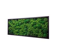 Hello Moss Moosbild - Moos Décoration pour votre maison - mousse d'oreiller et Cladonia - Mur mousse moderne Vivant - Décoration murale unique Différentes tailles (marron, 80 x 40 cm)