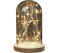 Hellum Cloche en verre avec guirlande lumineuse 30 LED Blanc chaud, Cloche en verre avec fond en bois, 19,5 x ⌀ 12 cm, Décoration de Saint-Valentin, Fonctionne avec piles (non incluses) 523713