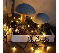 Hellum LED chaîne de lumière extérieure avec minuterie I 19,9m 200 LED I chaîne de lumière blanc chaud I chaîne de lumière LED à alimentation électrique avec fiche I lumières <59 lm 577389