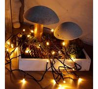 Hellum LED chaîne lumineuse Extérieur avec minuterie I 11,9m 120 LED I chaîne lumineuse bernstein (classique blanc chaud) I chaîne lumineuse LED alimentée par l'électricité avec fiche < 59 lm 576641