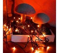 Hellum LED Guirlande électrique d'extérieur ou d'intérieur, Guirlande lumineuse couleur mandarine avec minuterie, Guirlande électrique avec 80 LED, câble en vert, <59 lumens 150032