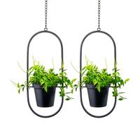 HemePaha Metal Hanging Planters, Modern Plant Hanger with 5 inch Flower Pots,Set of 2 Black Oval Shape Plant Holders, Wall and Ceiling Planters for Indoor Plants, Home Décor