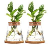 Hemobllo 2 Pièces Station de Propagation Hydroponique pour Plantes avec Vase en Verre 330ml, Bouchon en Bois Perforé et Support en Bambou, Design Élégant pour Rebords de Fenêtre et Tables