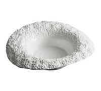 Hemobllo Assiette creuse en céramique blanche 25 cm motif rocheux bol profond multi-usage pour dîner et service en restaurant
