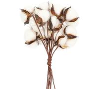 HEMOTON Branches de Coton Séchées Blanches pour Décoration Festive Intérieure, en Coton et Fer, Bouquet de 10 Tiges Ambiance Joyeuse du Nouvel an