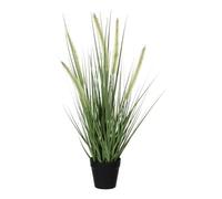 Herbe Dogtail Artificielle Vert En Pot H53