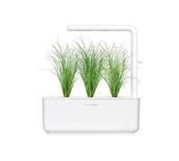 Herbe ornementale / 3-pack - Capsules décoratives pour jardin d'intérieur intelligent