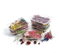 Herbes de Pampa Séchées pour Bouquet Mariage Boho | Matériau naturel, longue durée, idéal résine époxy, couleurs variées, texture douce