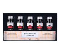 Herbin 18503T Coffret de 5 Encres 10 ml Automnales