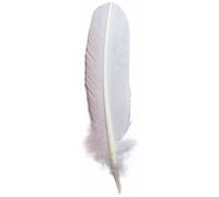 Herbin - Plumes d'oie taillées 28cm - Blanc