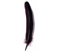Herbin - Plumes d'oie taillées 28cm - Bordeaux