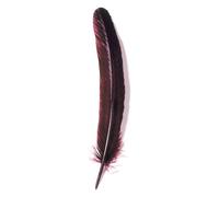 Plumes d'oie taillées 28cm - Bordeaux