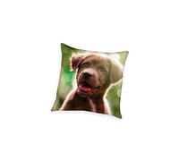 Herding Coussin Décoratif, Young Collection Chiot, 40 x 40 cm, Polyester