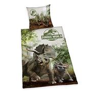 Herding Parure de Lit Jurassic World, Réversible, Taie d'Oreiller 70 x 90 cm, Housse de Couette 140 x 200 cm, Avec Fermeture Éclair de Qualité, Coton/Renforcé