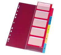 Herlitz 10913689 onglet 1-5, 22,3 x 29,7 cm, PP, couleurs avec feuille index et perforés 1-5
