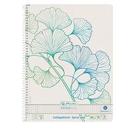 Herlitz Greenline 50033485 Ginkgo Lot de 5 blocs de 70 feuilles quadrillées avec 2 marges Format A4