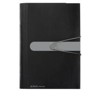 Herlitz Trieur malette à compartiments 11208394 DIN A4 Nombre de compartiments:12 noir 1 pc(s)