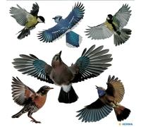 HERMA 15539 Lot de 30 autocollants pour vitres de fenêtre - Motif oiseaux de signalisation - 30 x 30 cm - Autocollants amovibles et réutilisables - Protection contre les oiseaux - En film rigide