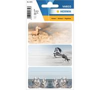 HERMA 1859 Lot de 9 étiquettes autocollantes autocollantes permanentes pour livres, cahiers, boîtes, maison, multicolores, 76 x 35 mm